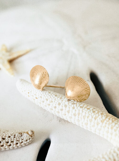 Paradise Shell Re-Color-26 Paradise Shell Re-Color-26