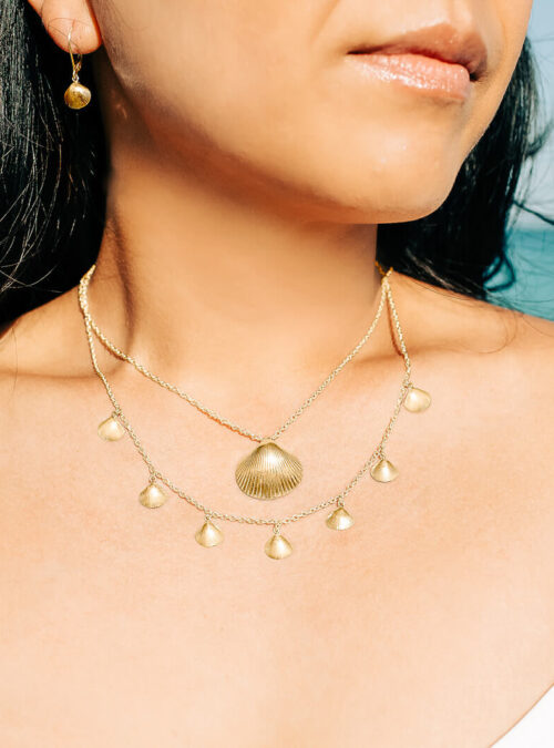 Paradise Shell Re-Color-82 Paradise Shell Re-Color-82