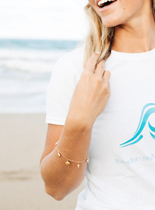 Paradise Shells 2023 Paradise Shells 2023